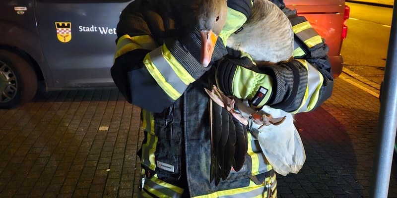 FW-EN: Wetter - zwei Einsätze am Freitagabend - Foto: presseportal.de