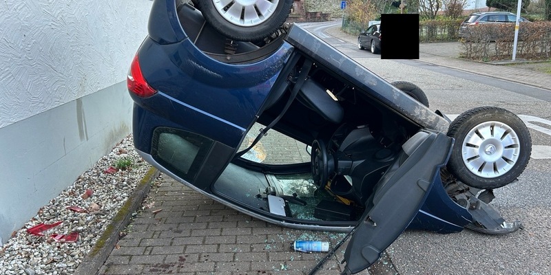 POL-PDLD: Annweiler - Auf dem Dach gelandet - Foto: presseportal.de