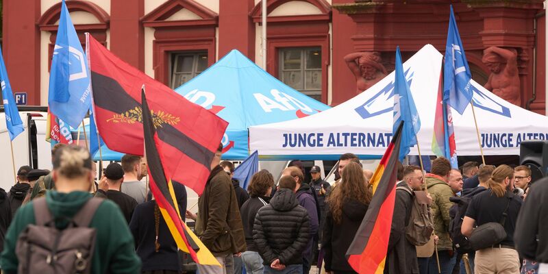 Die AfD will sich von ihrer Nachwuchsorganisation «Junge Alternative» trennen. (Archivbild) - Foto: Thomas Frey/dpa