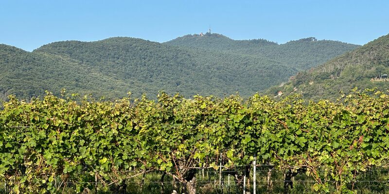 Dass Gipfelhöhen geändert werden müssen, ist tatsächlich selten - kommt aber vor. (Handout) - Foto: -/LVermGeo RP/dpa