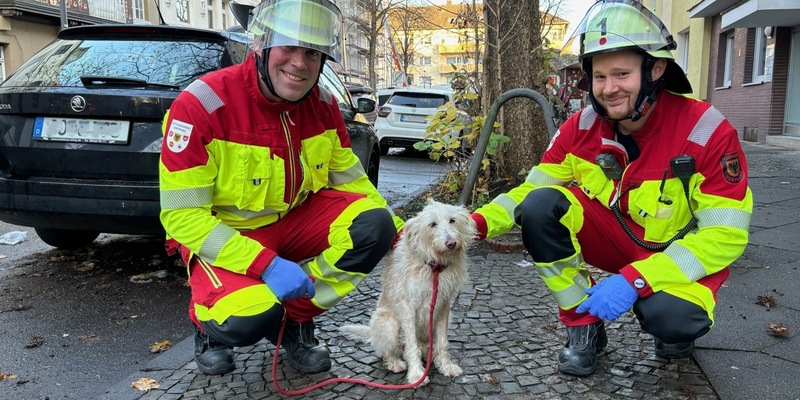 FW-DO: Rauchmelder rettet Hundeleben in Dortmund-Mitte - Foto: presseportal.de