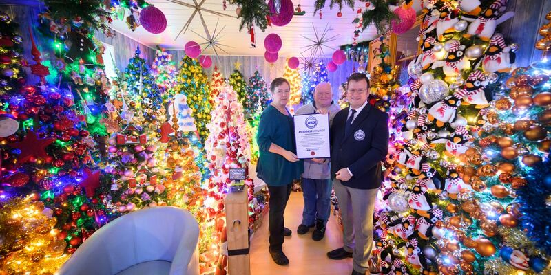 Weihnachtsbäume über Weihnachtsbäume schmücken ein Haus in Niedersachsen (Foto aktuell).  - Foto: Julian Stratenschulte/dpa
