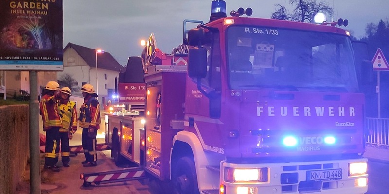 FW Stockach: Kaminbrand - Foto: presseportal.de