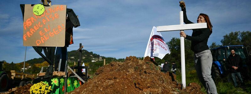 Seit Jahren protestieren europäische Landwirte gegen das geplante Abkommen. (Archivbild) - Foto: Christophe Simon/AFP/dpa