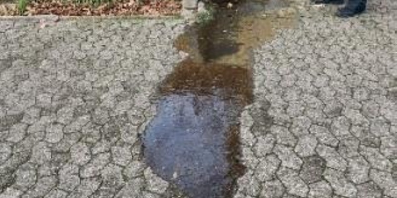 POL-DU: Duisburg/Minden: Verschmutzung durch ausgelaufenes Öl - Foto: presseportal.de