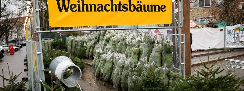 Weihnachtsbäume haben in Deutschland eigentlich immer Nadeln. (Archivbild) - Foto: Christian Charisius/dpa