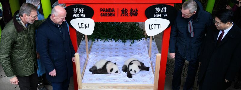 Die chinesischen Namen lauten Meng Hao und Meng Tian.  - Foto: Bernd von Jutrczenka/dpa