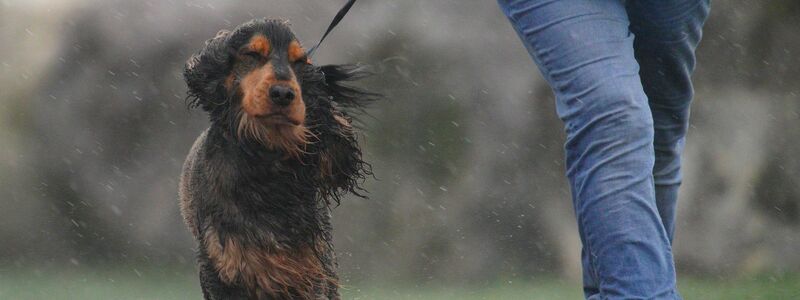 In Teilen von Wales galt die stärkste Wetterwarnung: «Lebensgefahr». - Foto: Ben Birchall/PA Wire/dpa