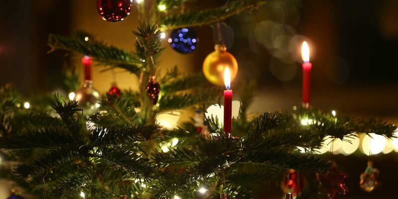 Kerzen brennen in einem Wohnzimmer an einem geschmückten Christbaum: heutzutage oft schon zeitiger im Dezember als früher. (Symbolbild) - Foto: picture alliance / Karl-Josef Hildenbrand/dpa