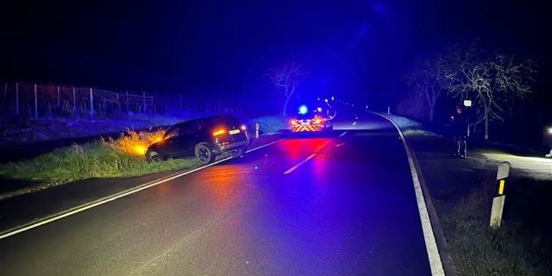 POL-PDLD: Verkehrsunfall unter Alkoholeinfluss/Birkweiler, L508/Sonntag, 08.12.2024, 01:51 Uhr - Foto: presseportal.de