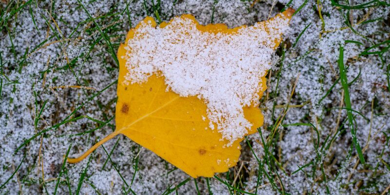 In der neuen Woche wird das Wetter winterlicher in Deutschland. (Archivbild) - Foto: Patrick Pleul/dpa
