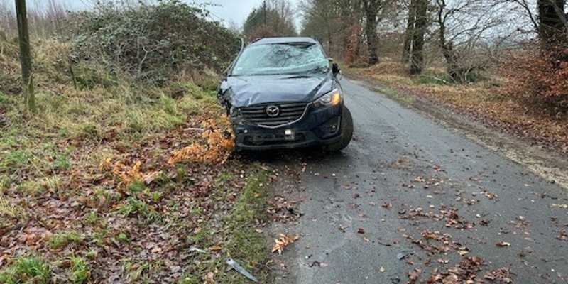 POL-CUX: Unter Alkoholeinfluss in Beverstedt-Wellen verunfallt (Foto im Anhang) - Foto: presseportal.de