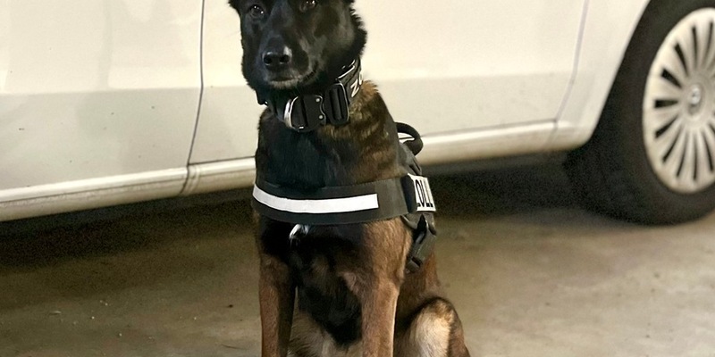 HZA-RO: ZOLL kontrolliert Reisende am Zentralen Omnibusbahnhof München / Rauschgifthündin Siri erfolgreich - Foto: presseportal.de