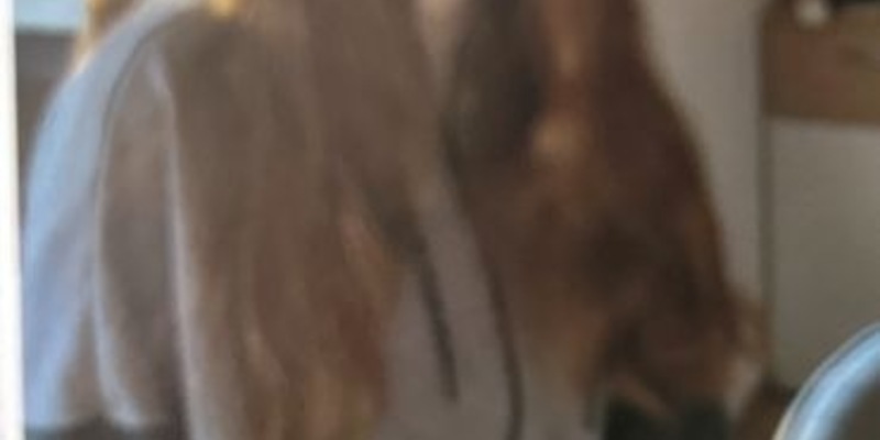 POL-GI: Gießen - 15-jährige Emily vermisst - Foto: presseportal.de