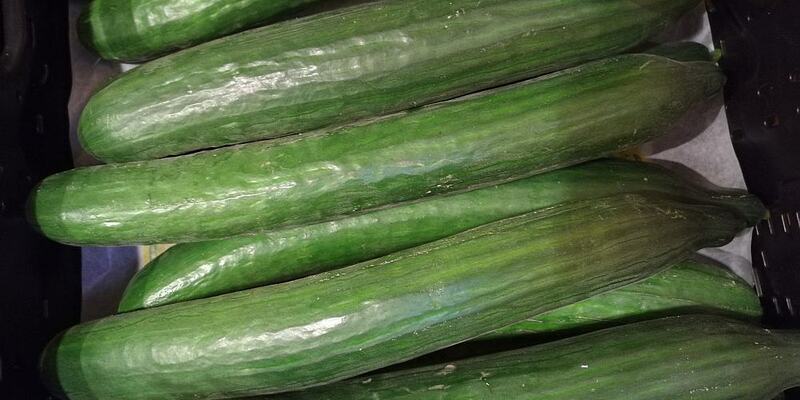 Gurken (Archiv) - Foto: über dts Nachrichtenagentur