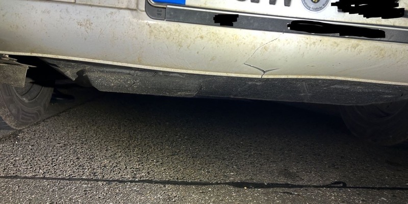 POL-PDLD: Burrweiler - Wildschweine kreuzen die L 507 - Foto: presseportal.de