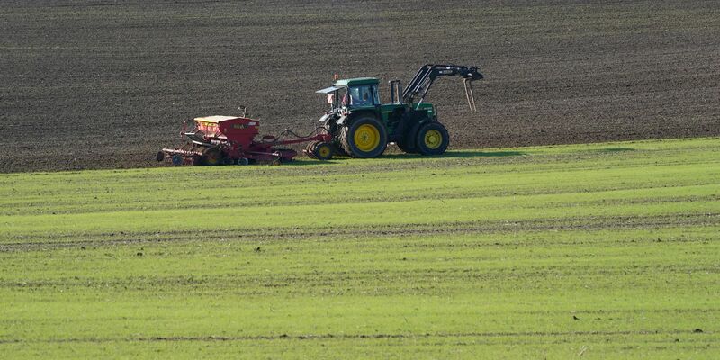 Landwirte in Deutschland stehen vor vielfältigen Herausforderungen.  - Foto: Marcus Brandt/dpa