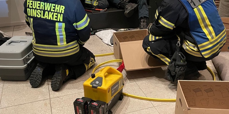 FW Dinslaken: Wildvogelrettung durch die Feuerwehr - Foto: presseportal.de