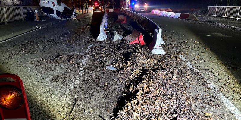 POL-PDLD: Wildunfall mit verletzter Person in Rheinzabern - Foto: presseportal.de