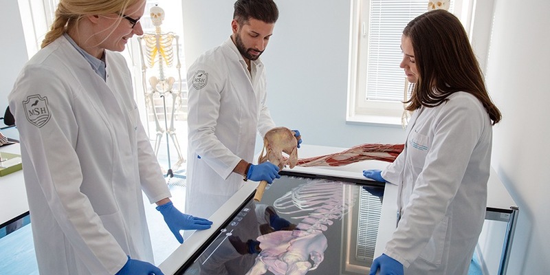 Helios und die IRO Group bieten Medizinstudierenden eine universitäre Ausbildung auf Spitzenniveau - Foto: presseportal.de