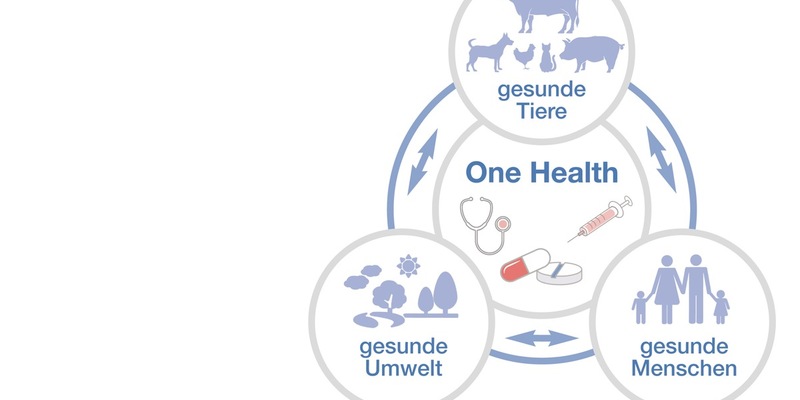 BPI gründet neue Tierarzneimittel-Fachabteilung BPIvet - Foto: presseportal.de