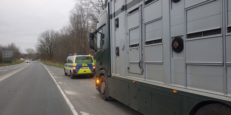 POL-CUX: Gemeinsame Kontrollen von Tier- und Lebensmitteltransporten - Polizei und Veterinärwesen des Landkreises Cuxhaven ziehen positives Fazit - Foto: presseportal.de