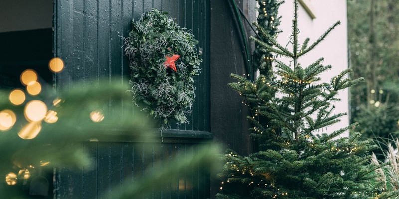 Aktuelle YouGov-Studie ermittelt Top-Kaufkriterien und Vorteile echter Weihnachtsbäume / Das Auge kauft mit - Foto: presseportal.de