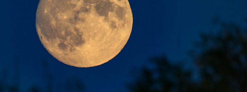 Der Mond zeugt von einer planetaren Katastrophe. (Archivbild) - Foto: Patrick Pleul/dpa