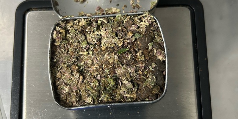 HZA-RO: Sechs Strafverfahren nach Kontrollen des grenzüberschreitenden Reiseverkehrs in Bus und Bahn eingeleitet / Zollhündin Siri erneut erfolgreich - Foto: presseportal.de