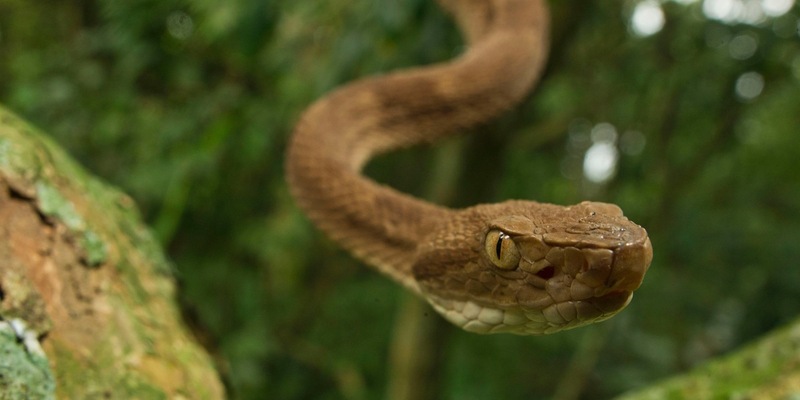 Betreten verboten: Terra X im ZDF über geheime Orte - Foto: presseportal.de