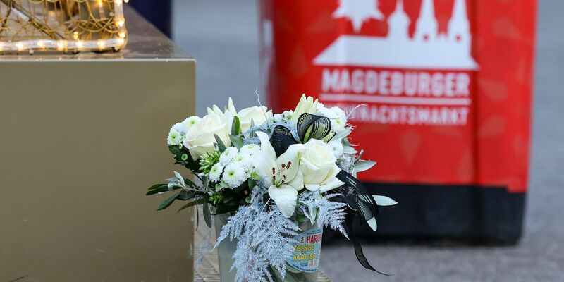 Innenministerin Faeser will für Transparenz sorgen. - Foto: Jan Woitas/dpa