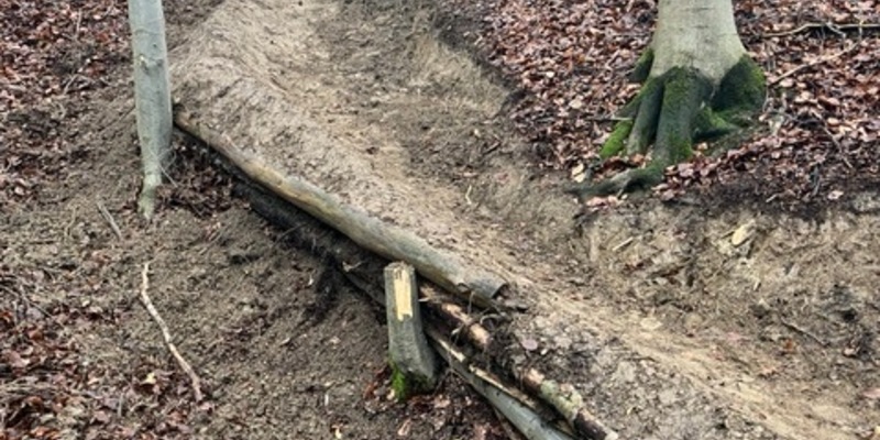 POL-NI: Lauenau - Illegaler Mountainbiketrail im Deister errichtet - Foto: presseportal.de