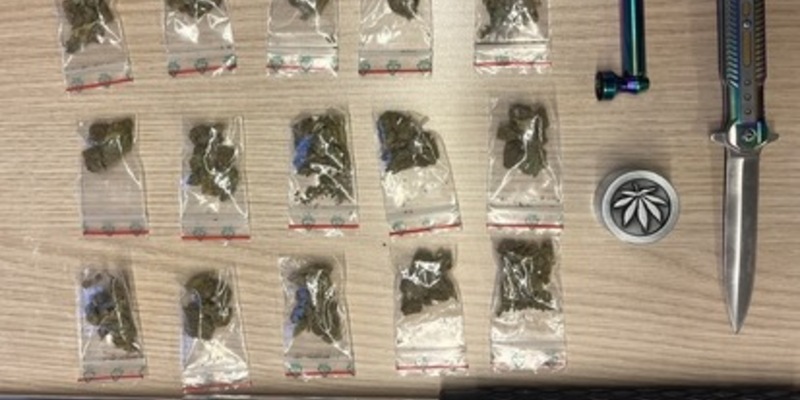 BPOL-FL: Rauschgift, Schlagstock und Messer am Bahnhof sichergestellt - Foto: presseportal.de