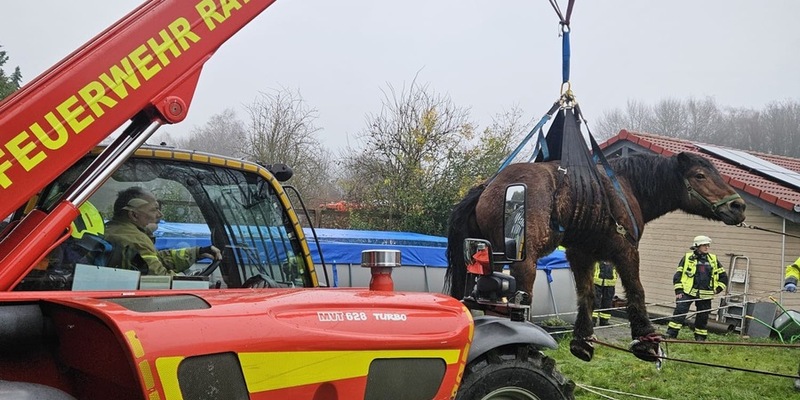FW Ratingen: Überörtlicher Einsatz nach Erkrath zu einem Großtier in Not - Foto: presseportal.de