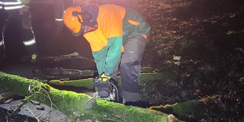 FW-Schermbeck: Baum in Telefonleitung - Foto: presseportal.de