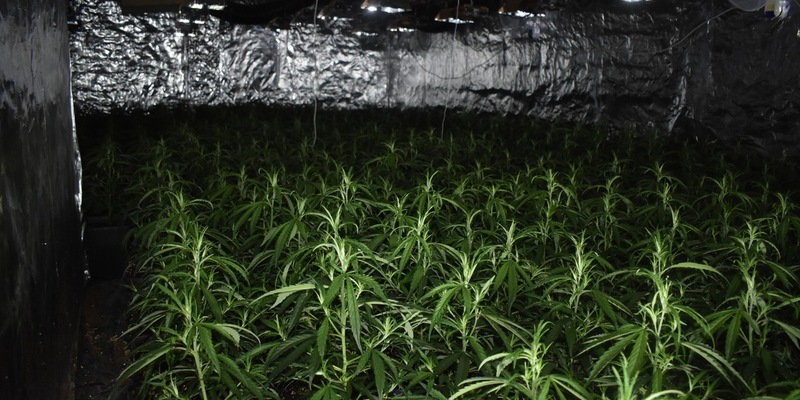 POL-AC: Cannabis-Plantage bei Feuerwehreinsatz entdeckt - Tatverdächtiger festgenommen - Foto: presseportal.de