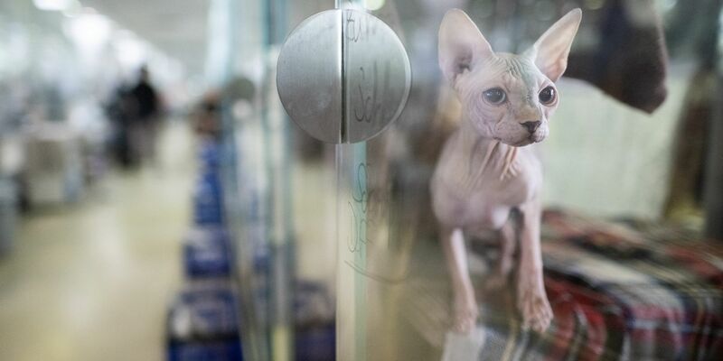 Die Heime sind voll, doch die Kassen bleibt leer. (Archivbild) - Foto: Sebastian Christoph Gollnow/dpa