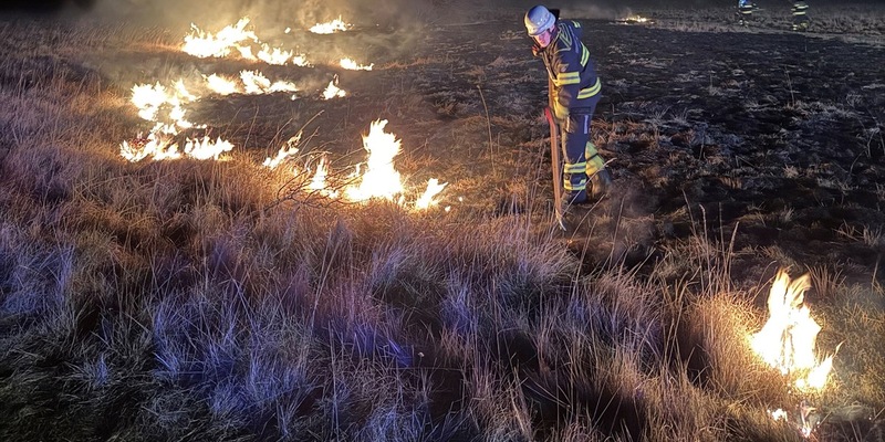 FW-M: Flächenbrand auf Panzerwiese (Hasenbergl) - Foto: presseportal.de
