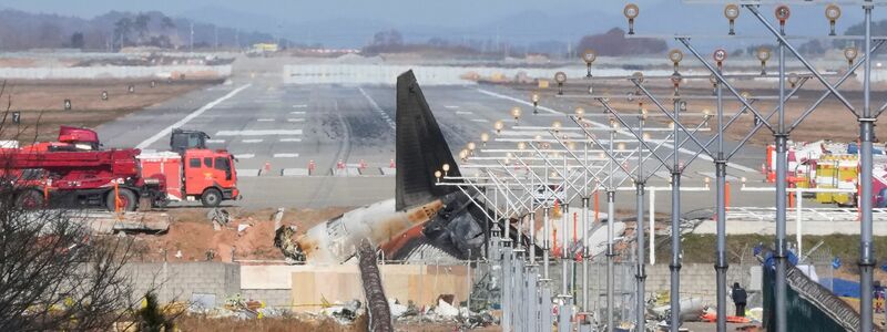 Flug 7C2216 meldete vor der Bruchlandung einen Vogelschlag. - Foto: Ahn Young-joon/AP/dpa