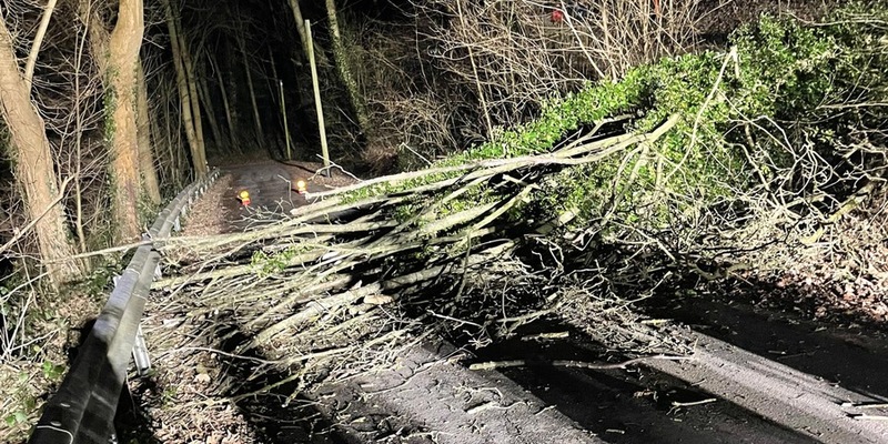 FW-Schermbeck: Baum auf Fahrbahn - Foto: presseportal.de