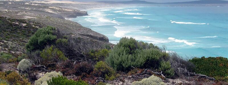 Das Opfer stammt aus dem wenige Hundert Kilometer entfernten Port Lincoln. (Archivbild) - Foto: James Shrimpton/AAP/dpa