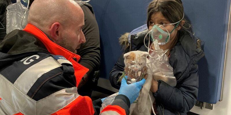 Auch eine Katze brauchte nach dem Brand medizinische Hilfe. (Handout) - Foto: -/BERUFSRETTUNG WIEN/dpa