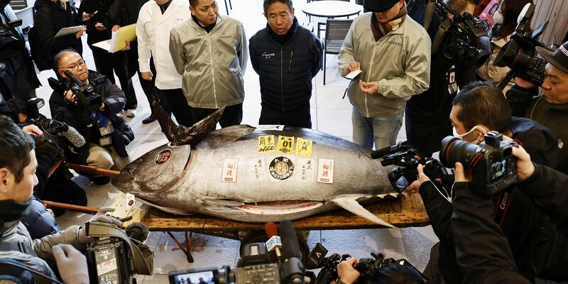 Die erste Auktion eines Thunfisches im Neuen Jahr gilt vielen in Japan als Gradmesser für Glück und Wohlstand. - Foto: -/Kyodo News/dpa