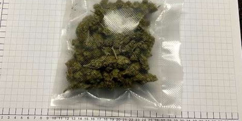 BPOL NRW: Das ist ein Geschenk - Bundespolizei stellt Marihuana sicher - Foto: presseportal.de