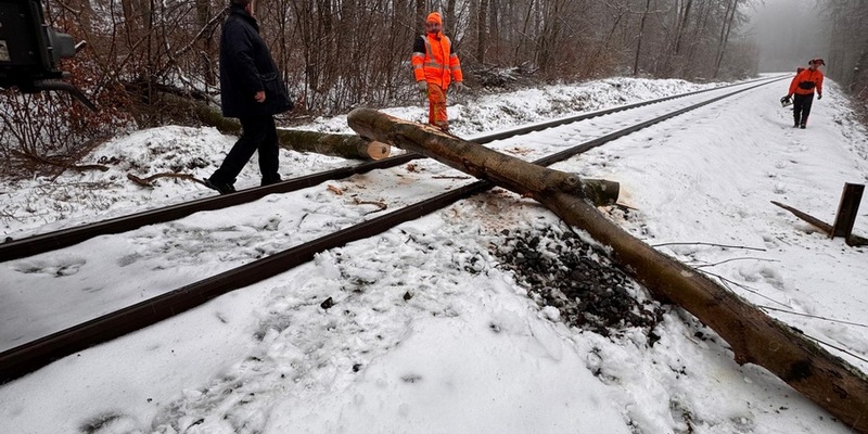 FW VG Westerburg: Umgestürzte Bäume versperrten Bahnstrecke und Straße - Foto: presseportal.de
