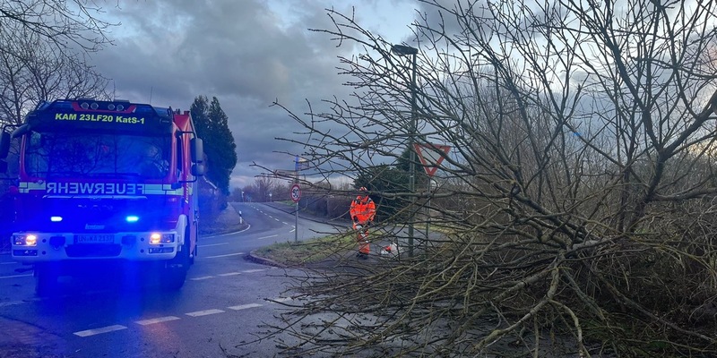 FW Bocholt: Nach heftigem Unwetter: Herabgestürzte Äste und vollgelaufene Keller im Stadtgebiet - Foto: presseportal.de