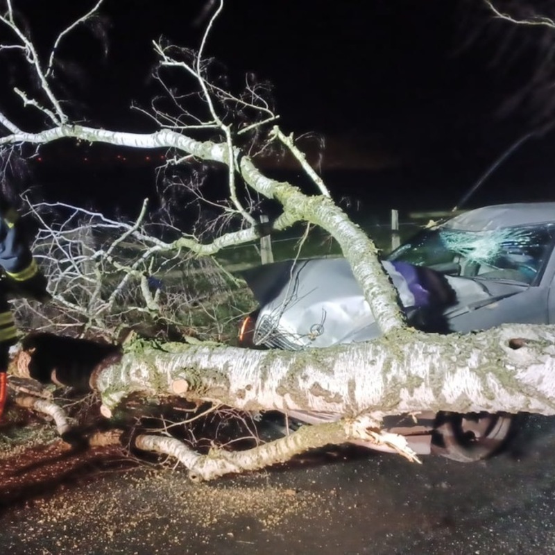 FFW Fredenbeck: Feuerwehreinsätze in der Samtgemeinde Fredenbeck aufgrund der Wetterlage - Foto: presseportal.de