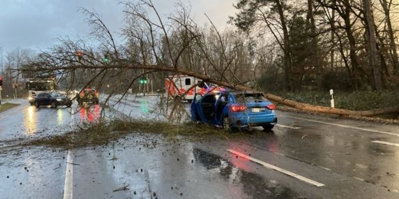 POL-OF: Umgefallene Bäume und Verkehrsschilder: Mehrere Sturm-Einsätze für Polizei / Schreckmoment für Autofahrerin bei Dietzenbach - Foto: presseportal.de