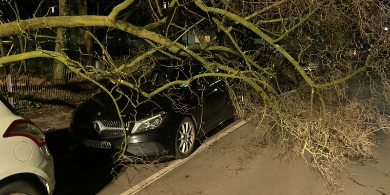 FW-DO: Sturmtief sorgt für zahlreiche Feuerwehreinsätze in Dortmund - Foto: presseportal.de