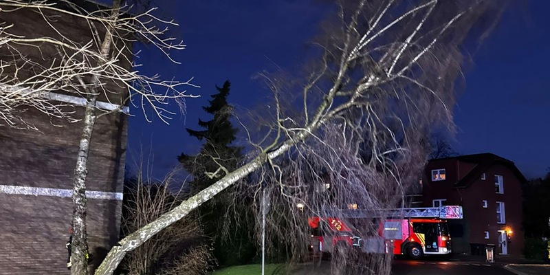 FW Bergheim: Mehrere Sturmeinsätze für die Feuerwehr Bergheim Sieben Einsätze im Stadtgebiet - Bäume auf Fahrzeuge gestürzt - Foto: presseportal.de
